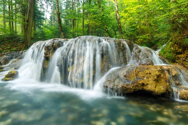 Yemyeşil bir orman şelale — Stok fotoğraf