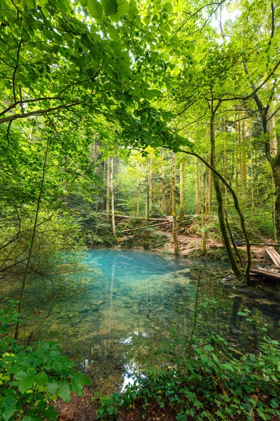 Ochiul Beiului meer in Roemenië — Stockfoto