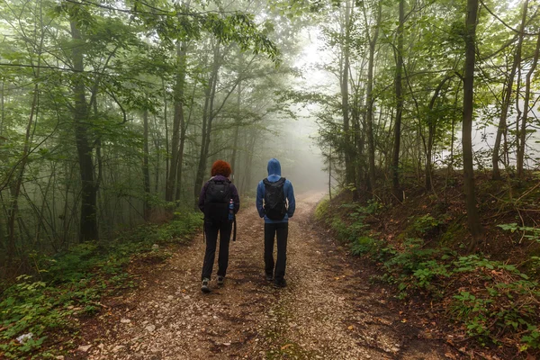 Hikers walking on a trail — Stock Photo, Image