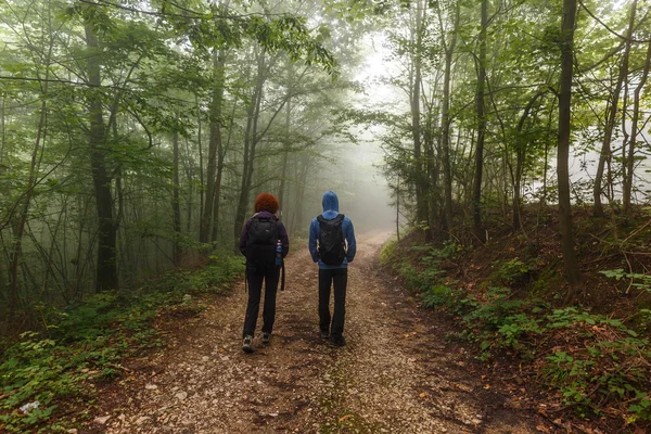 Randonneurs marchant sur un sentier — Photo