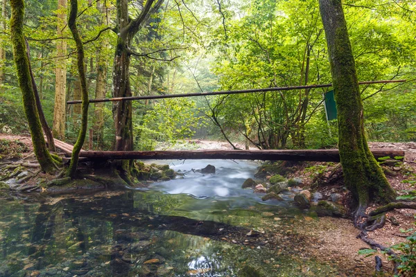 Drewniany most nad rzeką — Zdjęcie stockowe