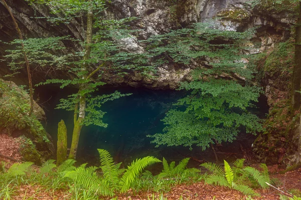 Lacul Dracului Romanya — Stok fotoğraf