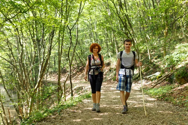 Caminhadas em família na floresta — Fotografia de Stock