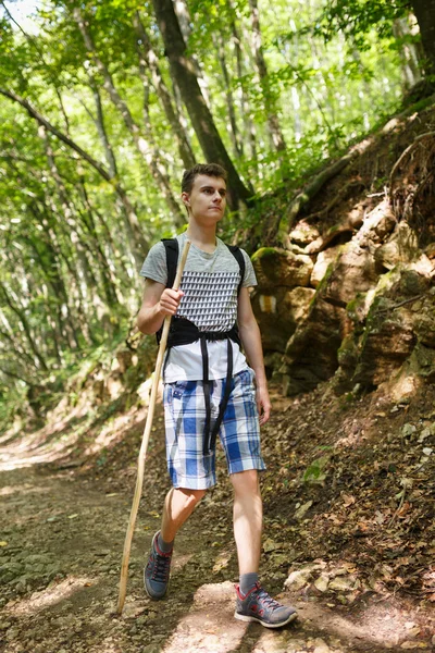 Hiker trekking into the forest trail — Stock Photo, Image