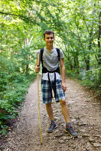 Hiker trekking into the forest trail — Stock Photo, Image