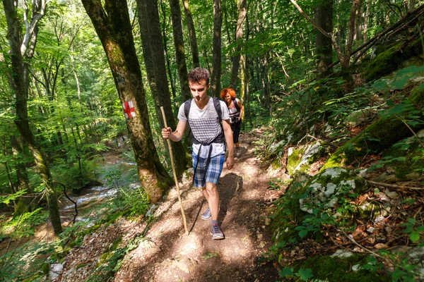 Caminhadas em família na floresta — Fotografia de Stock