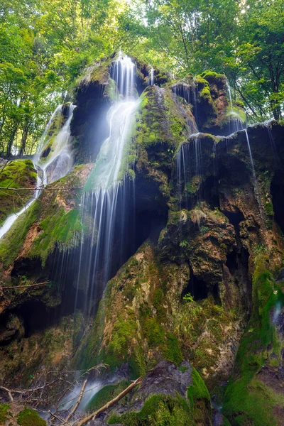 Cascada en un exuberante bosque — Foto de Stock