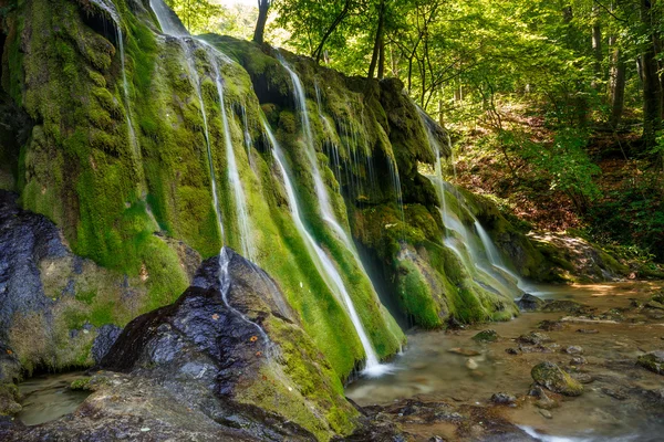 Водопад в пышном лесу — стоковое фото