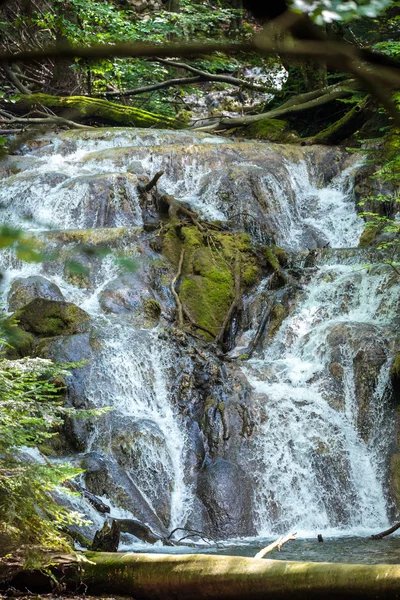 Wasserfall in einem üppigen Wald — Stockfoto
