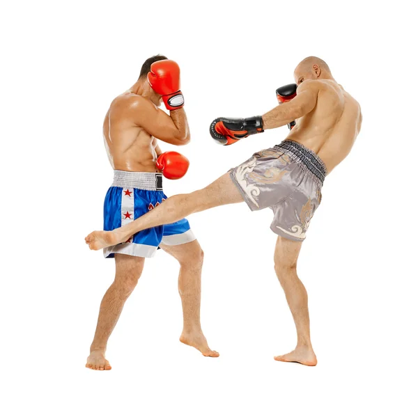 Kickboxers sparring on white — Stock Photo, Image