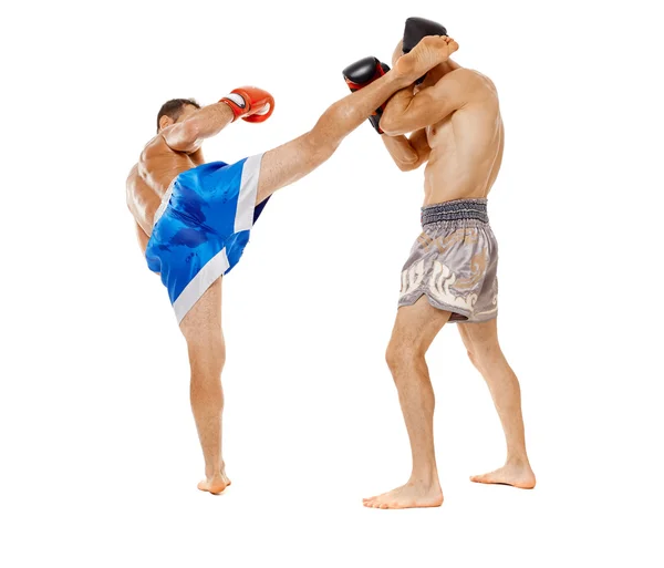 Kickboxers sparring sur blanc — Photo