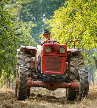  Traktör römork ile çiftçi