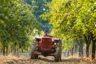  Traktör römork ile çiftçi