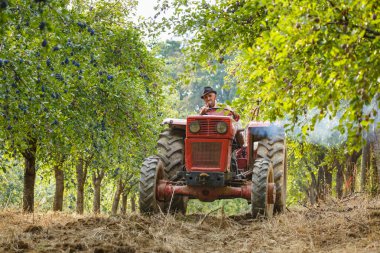  Traktör römork ile çiftçi