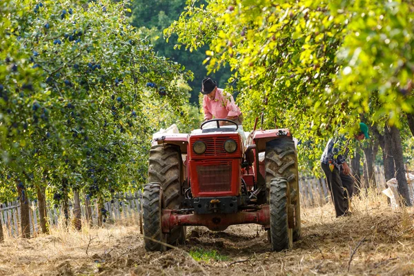 Agricultor sobre tractor con remolque — Foto de Stock