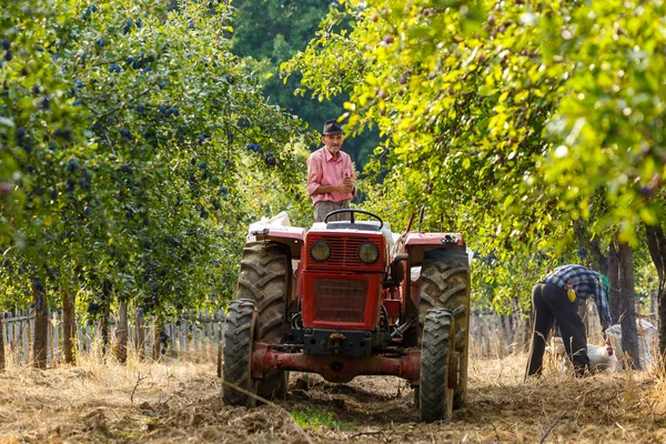 Agricultor em trator com reboque — Fotografia de Stock