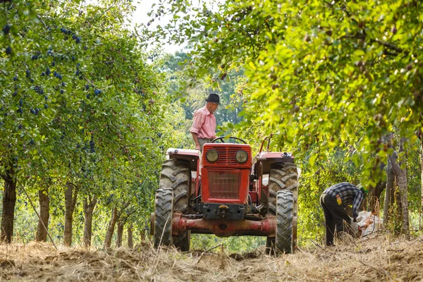 Agricultor sobre tractor con remolque — Foto de Stock