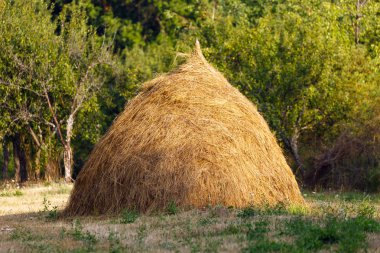 Hay stack on a field clipart