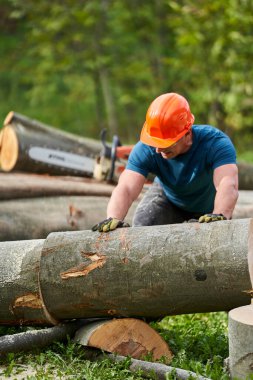 Güçlü oduncu onları testereyle kesmek için kütükleri itiyor ve çekiyor.
