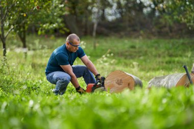 Oduncu testere ile kayın kütüklerini kesiyor.