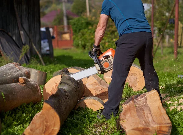 Lumberjack Cutting Beech Logs Chainsaw — Stock Photo, Image