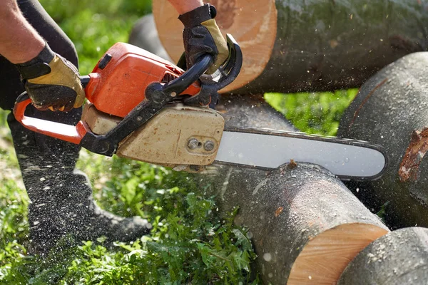 Primer Plano Las Manos Leñador Con Una Motosierra Cortando Troncos — Foto de Stock