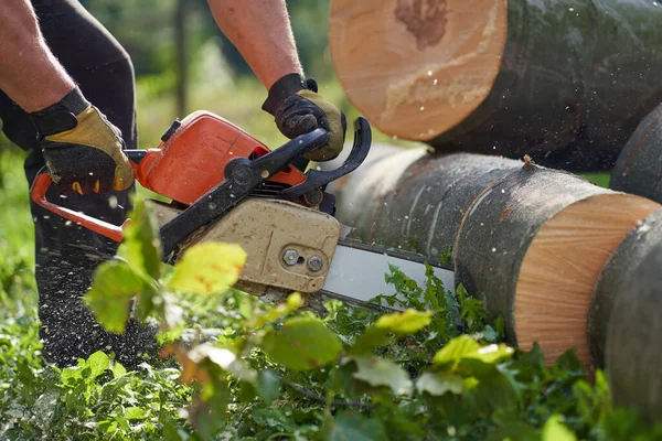 Nahaufnahme Eines Holzfällers Mit Einer Kettensäge Der Baumstämme Schneidet — Stockfoto