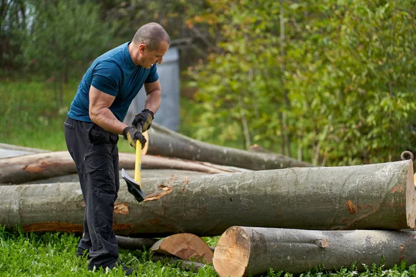 伐木工人用大斧头敲楔子来支撑木 — 图库照片
