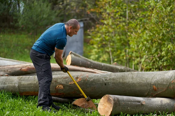 Lumberjack Golpeando Una Cuña Con Hacha Grande Para Apuntalar Tronco — Foto de Stock