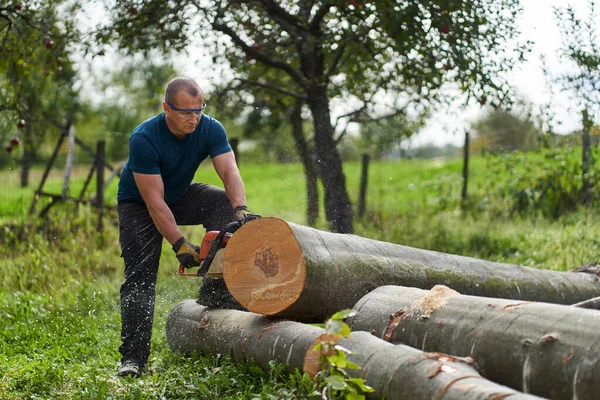 チェーンソーでブナのログを切断Lumberjack — ストック写真