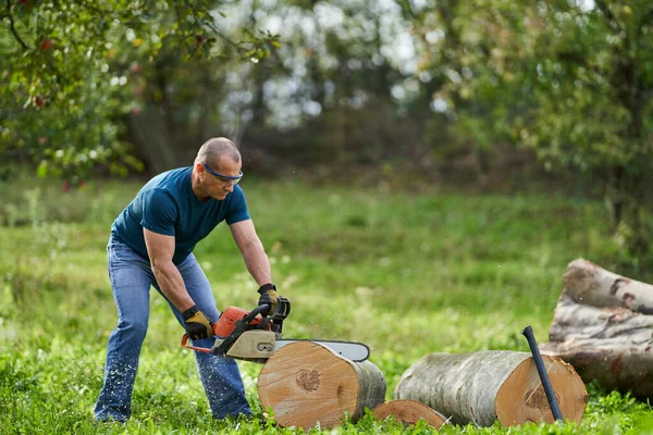 Lumberjack Cutting Beech Logs Chainsaw — Stock Photo, Image