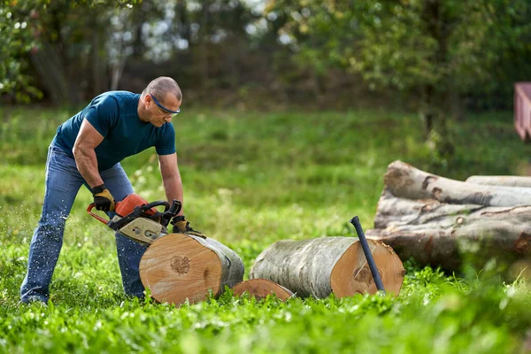 Lumberjack Cutting Beech Logs Chainsaw — Stock Photo, Image