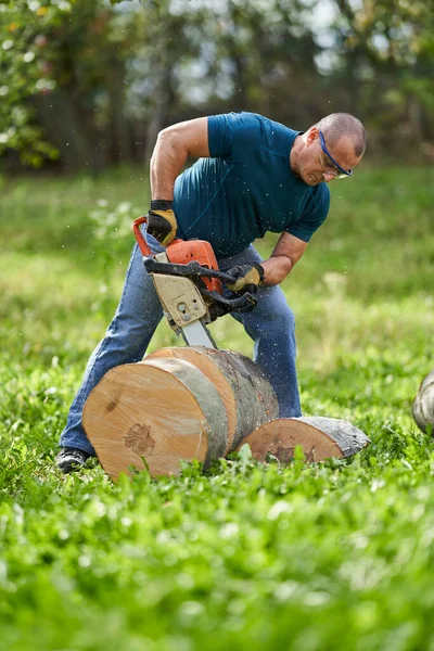 チェーンソーでブナのログを切断Lumberjack — ストック写真