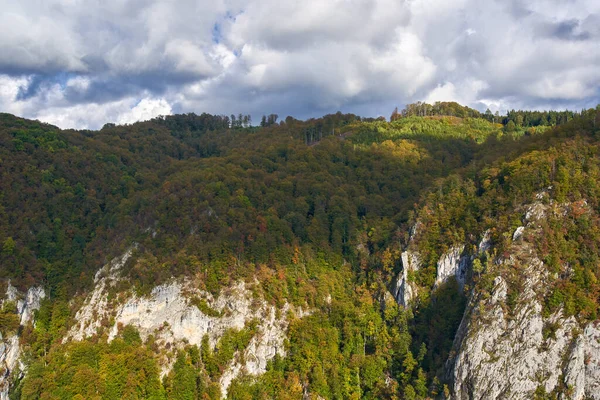 Vue Aérienne Des Montagnes Avec Des Falaises Des Forêts Automne — Photo