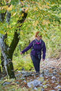 Sırt çantalı kadın ormanda yürüyüş yapıyor.