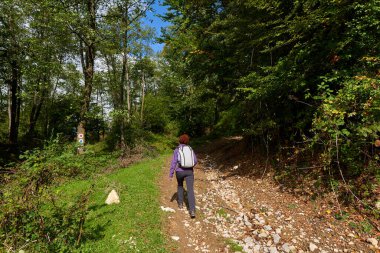 Sırt çantalı kadın ormanda yürüyüş yapıyor.