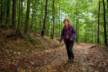 Sırt çantalı kadın ormanda yürüyüş yapıyor.