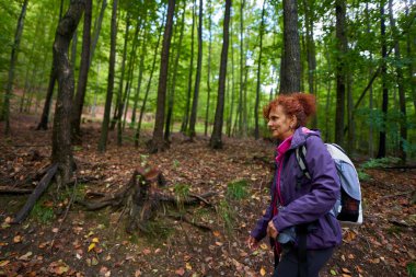 Sırt çantalı kadın ormanda yürüyüş yapıyor.
