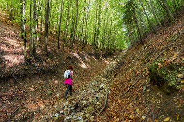 Sırt çantalı kadın ormanda yürüyüş yapıyor.