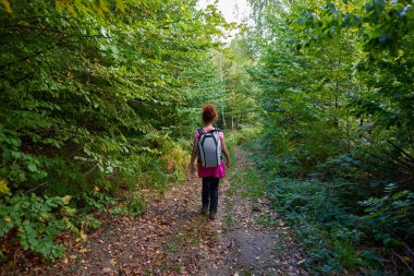Sırt çantalı kadın ormanda yürüyüş yapıyor.