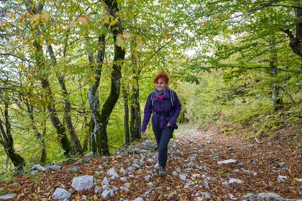 Hátizsákos Hölgy Túrázik Erdőben Nyomvonal — Stock Fotó