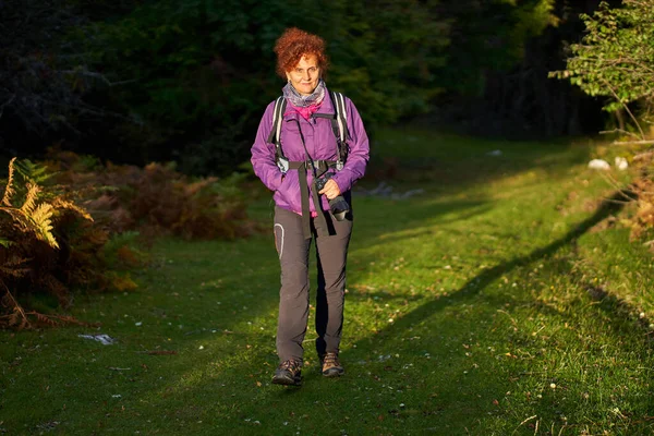 Backpacker Dame Wandert Auf Wanderweg Den Wald — Stockfoto