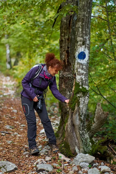 Mochileiro Senhora Caminhando Para Floresta Uma Trilha — Fotografia de Stock