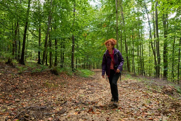 Mochileiro Senhora Caminhando Para Floresta Uma Trilha — Fotografia de Stock