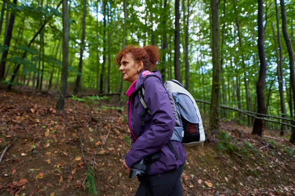 Backpacker Signora Escursioni Nella Foresta Sentiero — Foto Stock