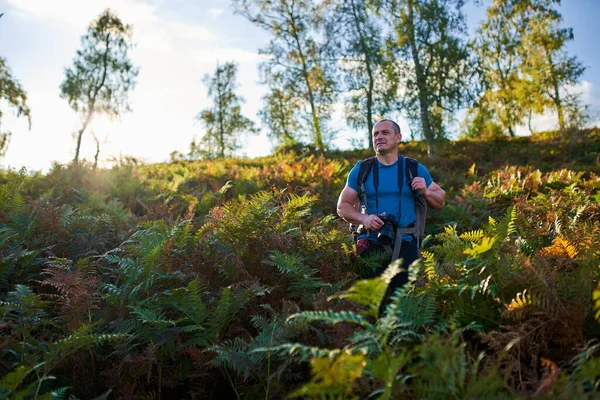 带着相机和大背包的专业自然摄影师徒步走进森林 — 图库照片