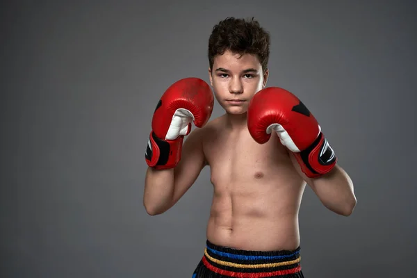 Young Boxer Red Gloves Striking Various Poses Gray Background — Stock Photo, Image