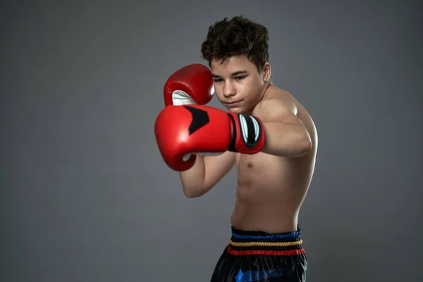 Jovem Boxeador Com Luvas Vermelhas Marcantes Várias Poses Fundo Cinza — Fotografia de Stock