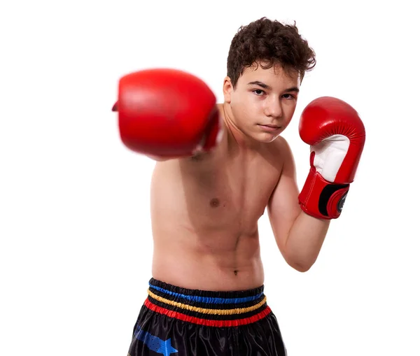 年轻的跆拳道选手 戴着红色手套 在白色背景上摆出各种不同的击球姿势 — 图库照片