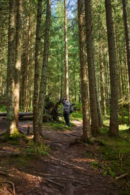 Ağır sırt çantası, tripodu ve dağlarda yürüyüş yapan profesyonel doğa fotoğrafçısı.